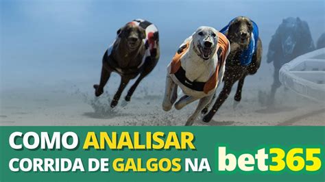 COMO ANALISAR CORRIDA DE GALGOS NA BET365 Sites Gratuitos YouTube