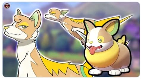 Pokemon Sword And Shield Fan Art Evolutions Yamper Impidimp