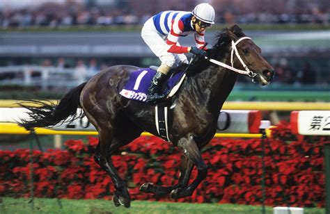 競馬の歴代最強の逃げ馬9頭を紹介！記憶と記録に残る最強馬は一体どの馬か？ みんなの競馬検証