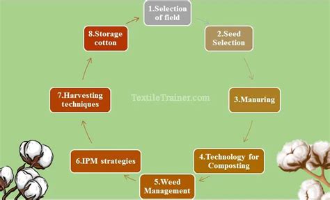 An Overview Of Organic Cotton Cultivation On A Step By Step Easy Way