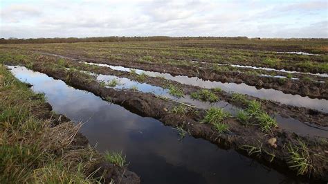 ZLTO Leden Melden Meer Dan 29 Miljoen Euro Schade Door Wateroverlast