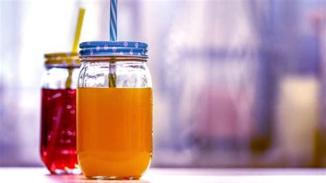 Guides Sur Le Kombucha R Volution Fermentation