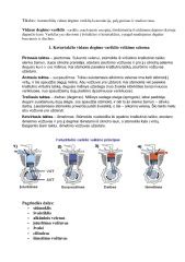 Vidaus Degimo Varikliai Referatas Mokslobaze Lt