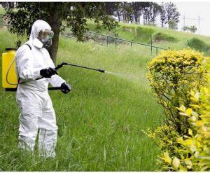 Curso Manejo Y Uso De Plaguicidas Y Herbicidas Agr Colas Sag Cursos