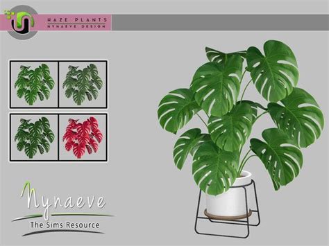 Nynaevedesign S Haze Monstera Plant Sims Tsr Sims Sims