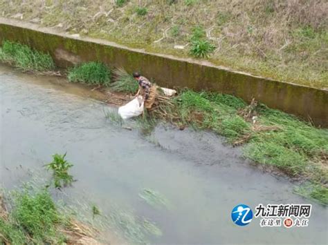 德安縣寶塔鄉城鄉環境衛生整治持續發力 每日頭條