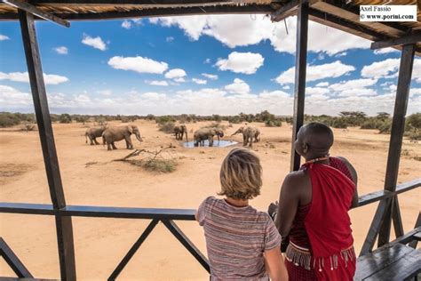 Parque Nacional de Amboseli Safari de 2 días GetYourGuide