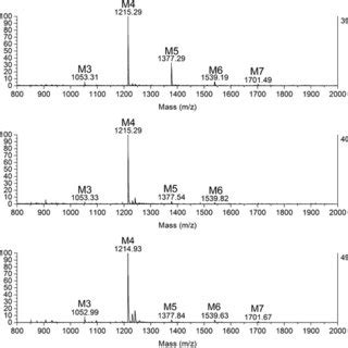 MNN1 Deletion Improves Glycan Homogeneity MALDI TOF MS Spectra Of 2 AB