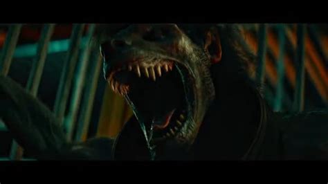 Werewolvesbanner PopHorror