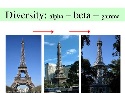 PPT - Diversity: alpha – beta – gamma PowerPoint Presentation, free download - ID:5826543