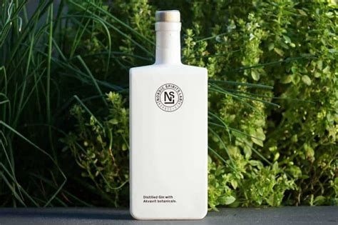 Testbericht Nordic Spirits Lab Gin Ginnatic Deutschlands Gr Ter