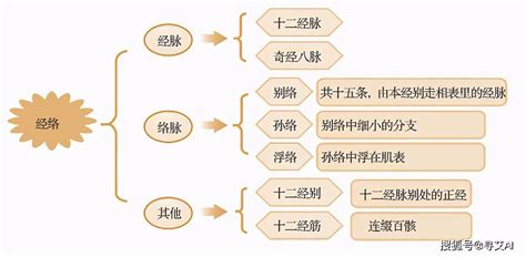 美国科学家：中医经络又添新证据，中医正在面临一场巨大的变革气血