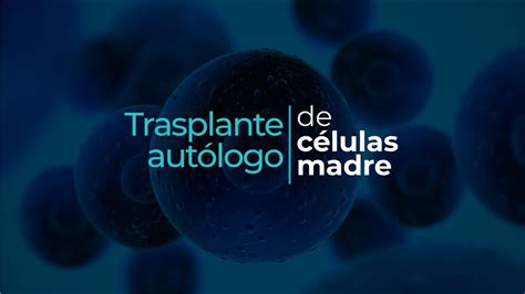 Transplante Aut Logo De C Lulas Madre Youtube