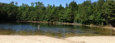 Driftwood Too - Campground Amenities