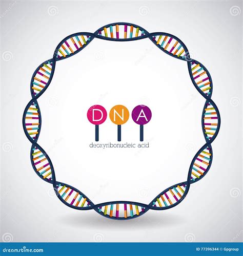 Dna Het Chromosoomontwerp Van De Cirkelstructuur Vector Illustratie