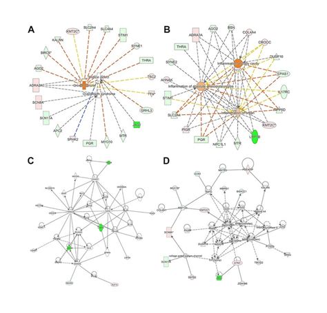 Gene Ontology Go And Subcellular Location Analysis Of The