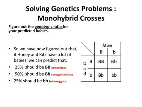 Ppt Solving Genetics Problems Monohybrid Crosses Powerpoint