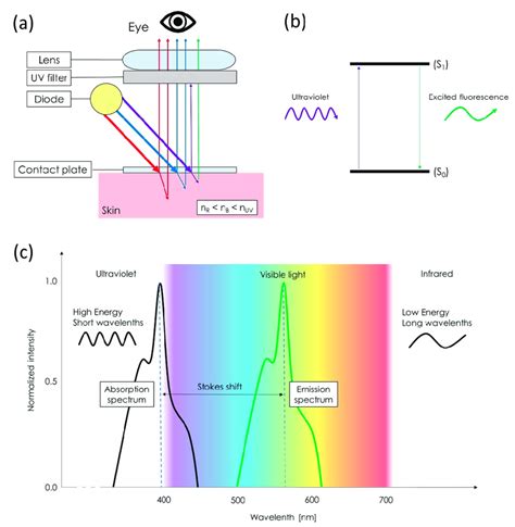 Basics Of Multispectral And Ultraviolet Induced Fluorescence