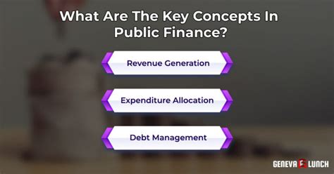 public finance principles revenue sources debt geneva lunch