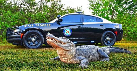 And The Survey Says: FHP Has America’s Best Looking Cruiser : NorthEscambia.com