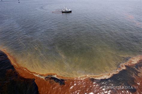 A A Os De La Explosi N De La Plataforma Deepwater Horizon La Vida