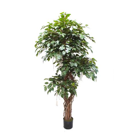 Artificial Deluxe Ficus Tree 180cm With Twisted Trunks