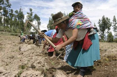 Covid Severa Amenaza Al Empleo Rural En Latinoam Rica Y El Caribe