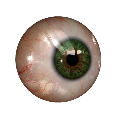 Eye PNG Image Eyeball Drawing Eye Drawing Human Eye