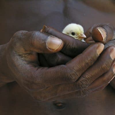 La Posture Du Pigeon Et Ses Variations Les Amazones Parisiennes