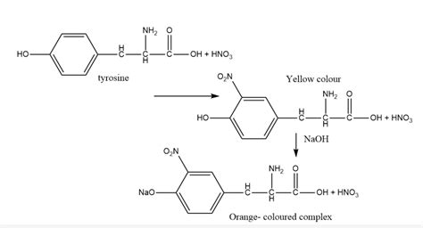 Laboratory Test For Protein 7 Easy Protocol Chemistry Notes