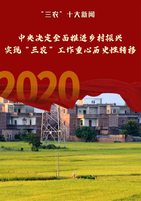 2020年“三农”十大新闻乡村振兴三农农业农村新浪新闻