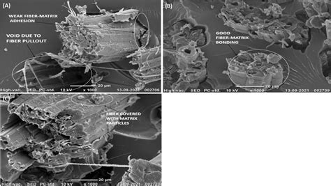 SEM Images Of Tensile Fractured Surfaces Of Sisal Fiber Reinforced