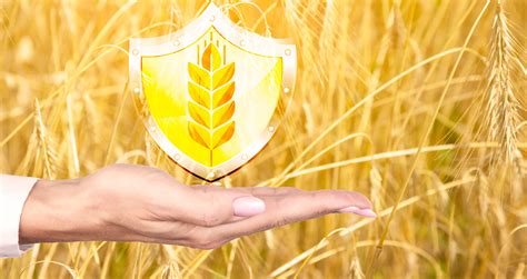 Master The Principles Of Crop Protection