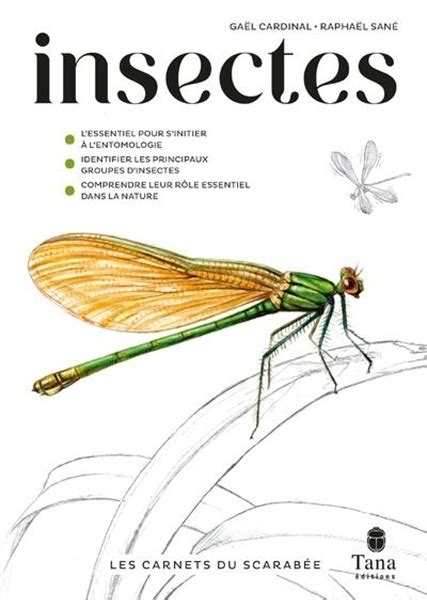 Les Carnets Du Scarab E Insectes F D Ration Fran Aise De La