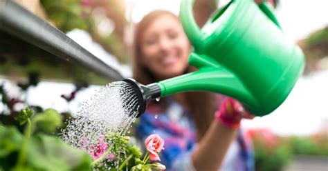 Reusar El Agua De La Lavadora Para Regar Las Plantas Bueno O Malo