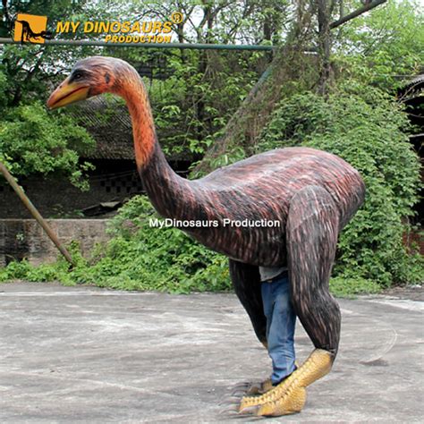 Elephant Bird Size