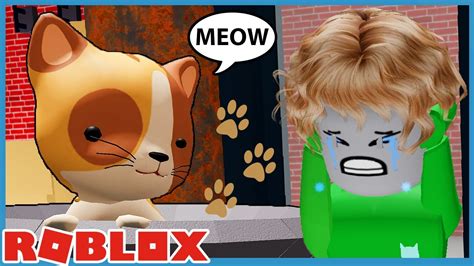 Roblox Extreme Hide And Seek With My Cats Youtube