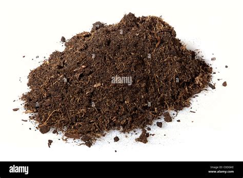 Sphagnum Peat Moss Stock Photo 34719202 Alamy