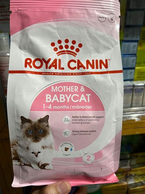 Royal Canin Mother Babycat Dry Cat And Kitten Food G Pet Supplies