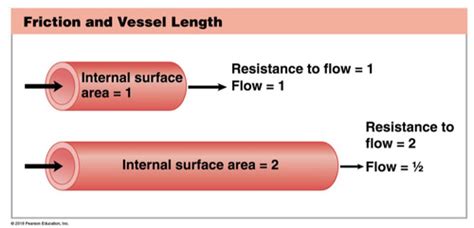 Biol Physiology Of Blood Flow Blood Pressure Flashcards Quizlet