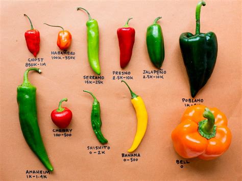 Types Of Chili Peppers Chart