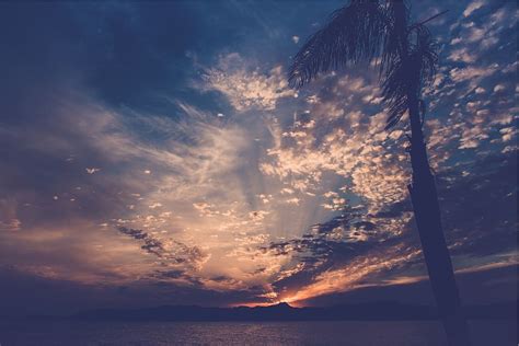 Puesta De Sol Anochecer Cielo Noche Oscuridad Nubes Agua Rbol