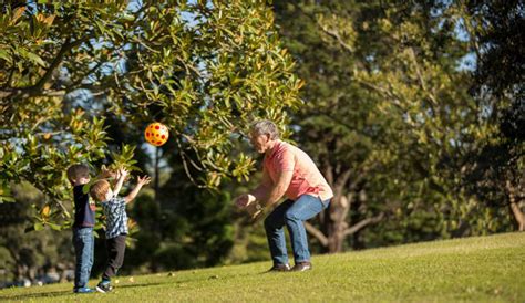 Cross Border Community Survey Nsw Government