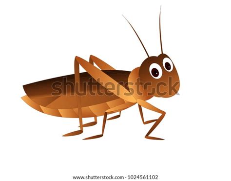 Cricket Insect Clipart