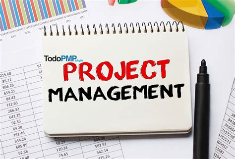 Todopmp Curso Para Project Managers