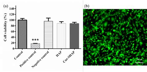 Cytotoxicity And Cell Viability Assay A Cell Viability Evaluation Of