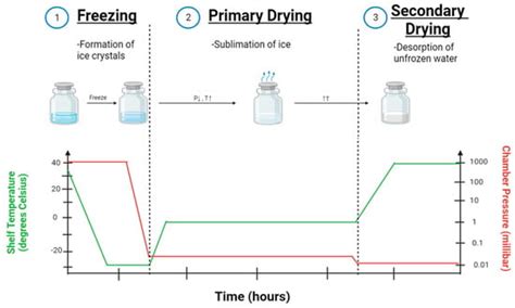 Ijms Free Full Text Lyophilization Of Nanoparticles Does It Really