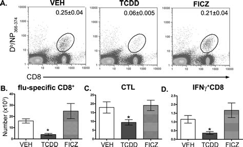 Ahr Activation By Ficz Does Not Impair The Cd T Cell Responses To