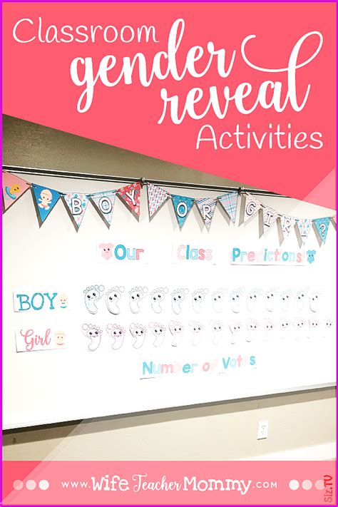 Classroom Gender Reveal Activity Baby Gender Prediction Classroom