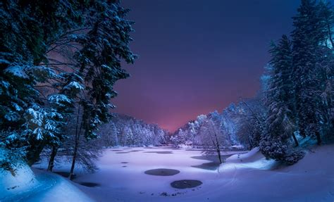 Fondos De Pantalla Luz De Sol Árboles Paisaje Bosque Noche Naturaleza Nieve Invierno